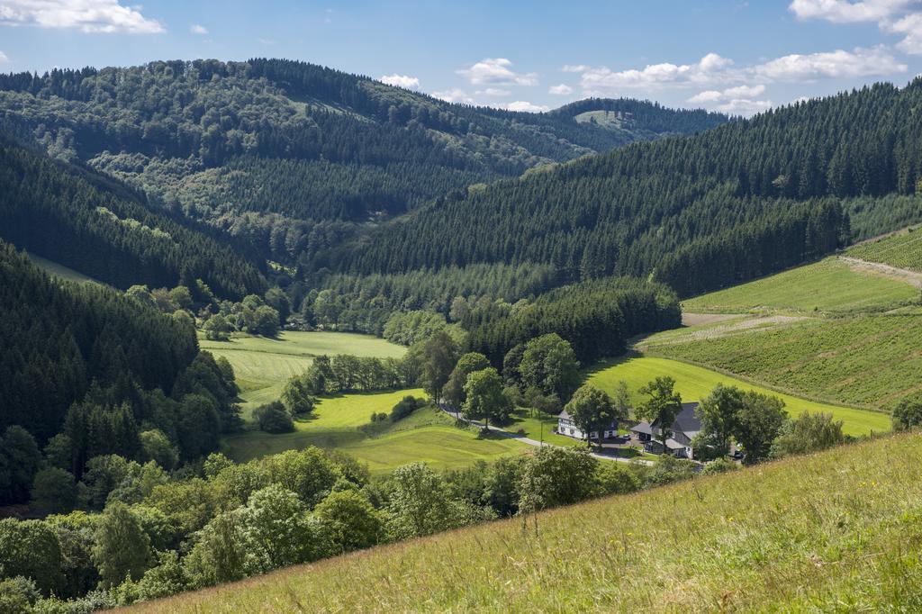 Landhaus Zum Sorpetal Ξενοδοχείο Schmallenberg Εξωτερικό φωτογραφία