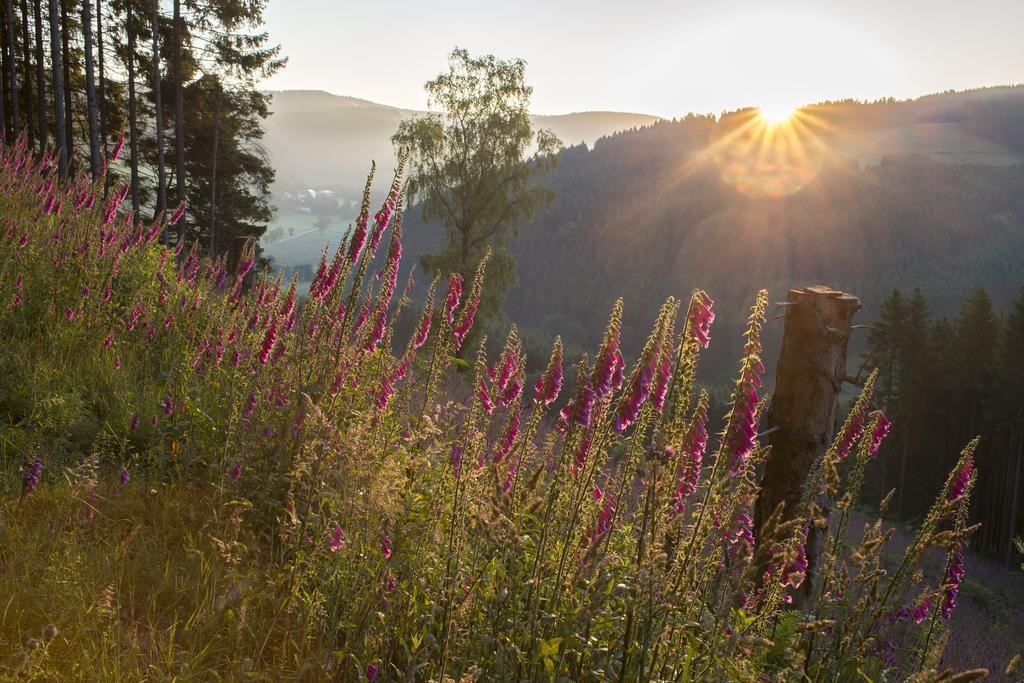 Landhaus Zum Sorpetal Ξενοδοχείο Schmallenberg Εξωτερικό φωτογραφία