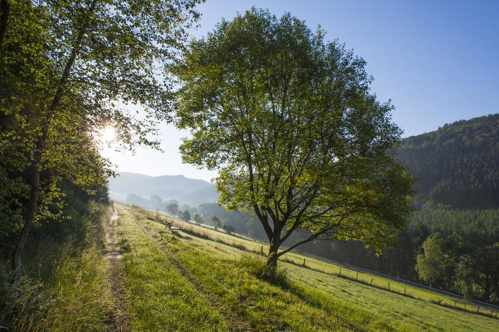 Landhaus Zum Sorpetal Ξενοδοχείο Schmallenberg Εξωτερικό φωτογραφία