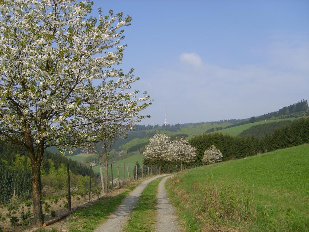 Landhaus Zum Sorpetal Ξενοδοχείο Schmallenberg Εξωτερικό φωτογραφία